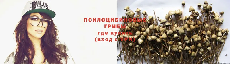 где можно купить   Ялта  Галлюциногенные грибы GOLDEN TEACHER 