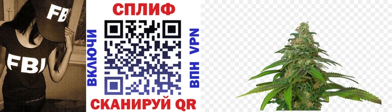 blacksprut онион  Ялта  Бошки Шишки индика 